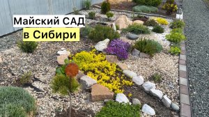 Сад проснулся! Первая прогулка! Готовимся к заморозкам!