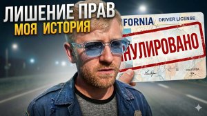 КАК ВЫЖИВАЕТ РУССКОЯЗЫЧНАЯ МОЛОДЕЖЬ НА ЗАГНИВАЮЩЕМ ЗАПАДЕ: Лишили Водительских Прав - Забрали CDL