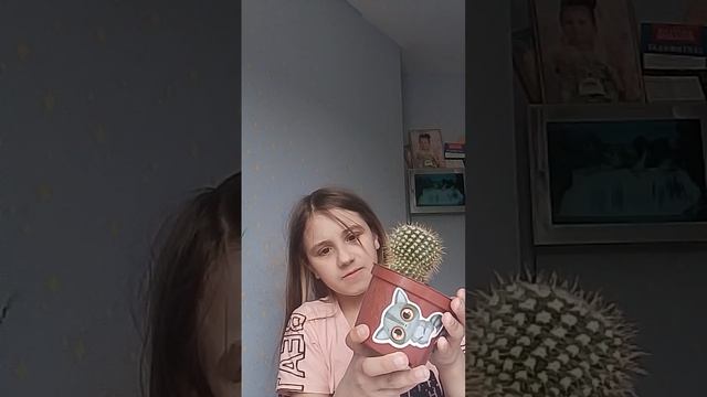 ухаживаю за своими кактусами