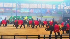 ТАЙЛАНД. ПАТТАЙЯ . ЭКСКУРСИЯ В ТРОПИЧЕСКИЙ ПАРК НОНГ НУЧ. ШОУ СЛОНОВ
