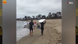 SI TE RÍES PIERDES NIVEL DIOS #5 🤣_ ¡TOTALES IDIOTAS EN EL TRABAJO _ VIDEOS GRA
