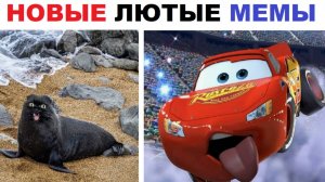 Лютые мемы. Тачки, котики, скуфы, комиксы, учеба