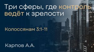 Три сферы, где контроль ведёт к зрелости | Карпов А.А.