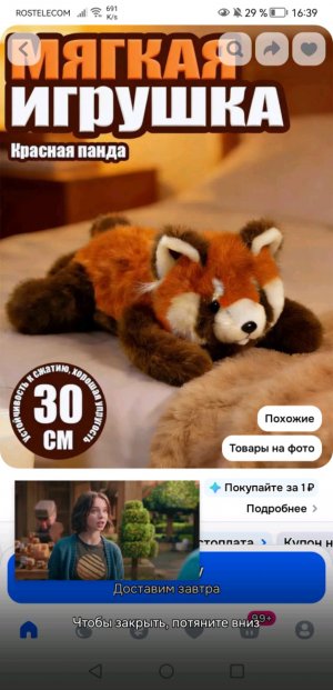 Пр