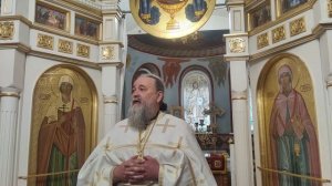 Чем человек отличается от животного?