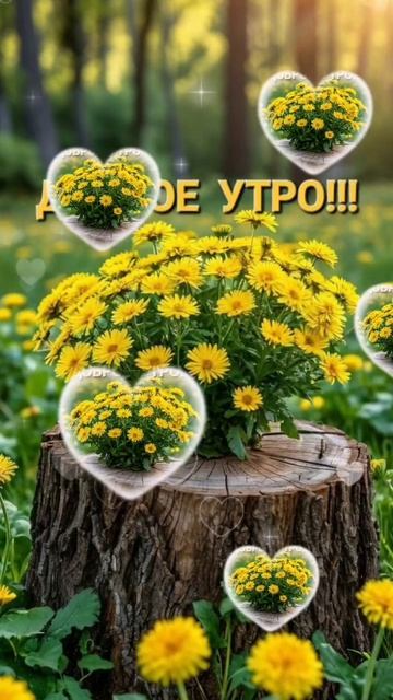 Доброе утро смотреть онлайн