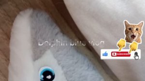 первое видео с плюшкой 🫶 я стала пдб? ( плюш дельфин блогером) 🤭 в опис!