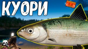 🔴 РР4/ рыбалка для души, ловим как универсал, общаемся 10.05.2026