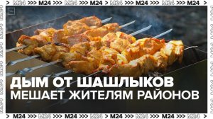 Жители столичных районов жалуются на дым от шашлыков - Москва 24
