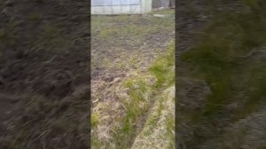 Жизнь деревенская