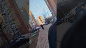 Лёня,Тима но без Стёпы 😭 9 часть