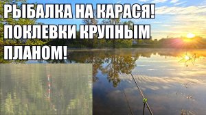 КАРАСИ НА ПОПЛАВОК, рыбалка на удочку весной на озере