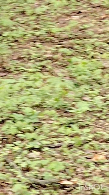 5511.mp4 смотреть онлайн