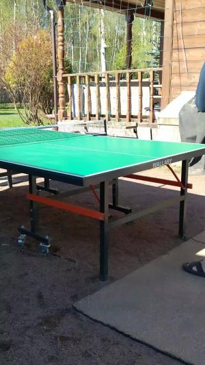🏓 теннис