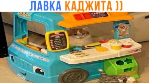КОТ ОТКРЫЛ РЕСТОРАН ))) Приколы с котами | Мемозг 1753