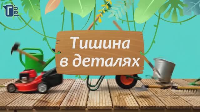 «Тишина в деталях»: разбираем газонокосилку