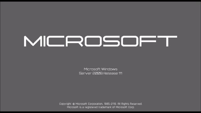 Windows Never Released 993