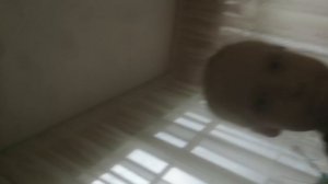 По