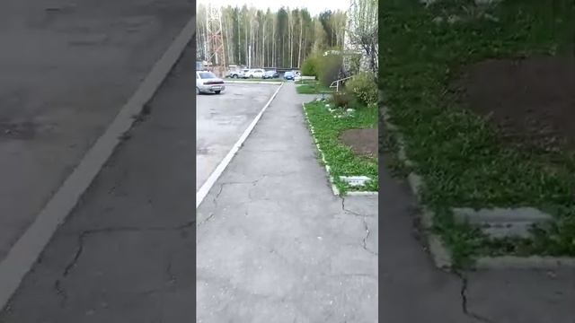 вечерная прогулка по старателю