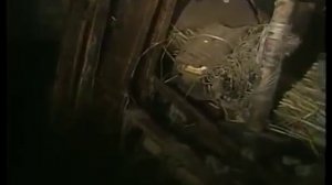 Забытые Богом Таежные отшельники Документальный фильм