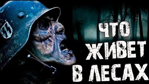 ЧТО ЖИВЁТ В ЛЕСАХ???... Страшные истории на ночь. смотреть онлайн