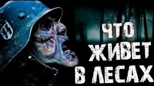 ЧТО ЖИВЁТ В ЛЕСАХ???... Страшные истории на ночь.