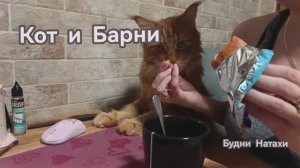 Что добавляют в Барни? Наш кот оценил!
