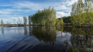 Рыбалка на торфяных карьерах