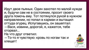 #анекдоты #юмор #Вирус #Тренды #Развлечения #Смешно #смешныеанекдоты