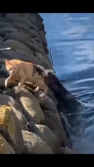 Немного переборщили с дракой.