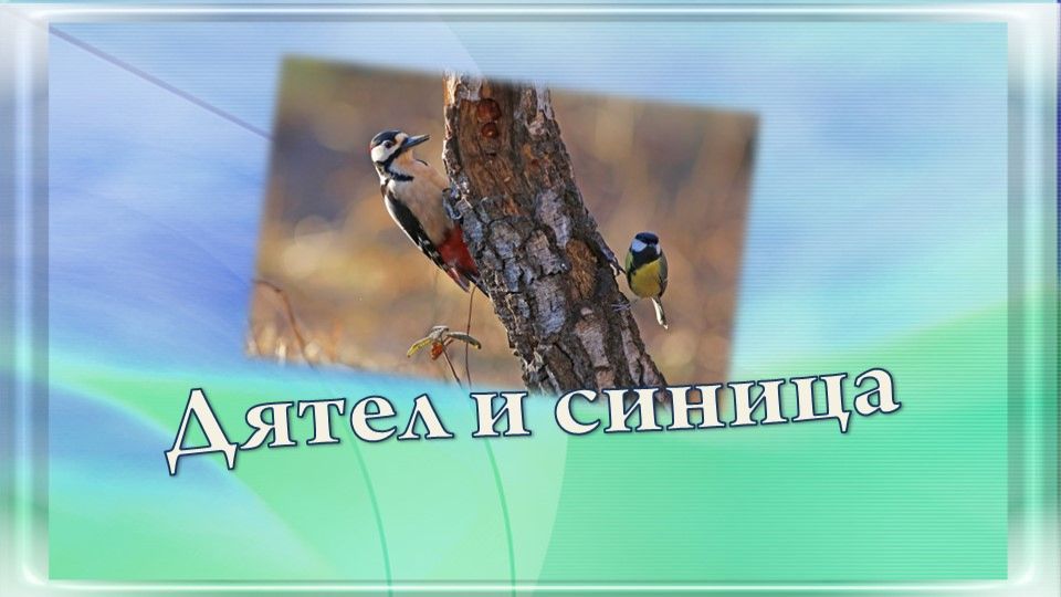 Дятел и синица