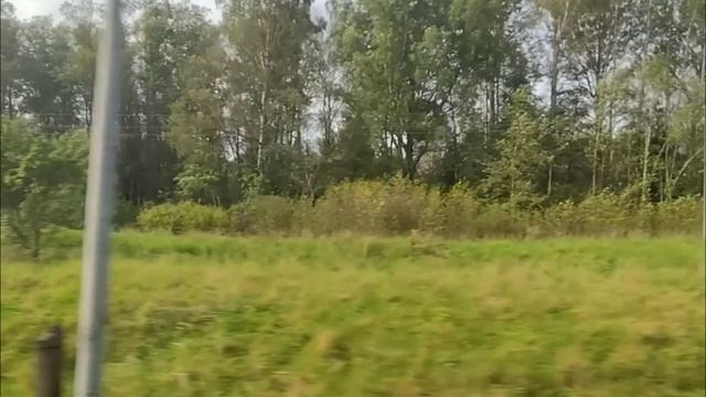 Настройка на неделю 11.05 - 17.05.2026. инсайты осознанность медитация