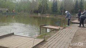Рыбка в Липках 🐟🐟🐟