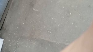влог с одинцово