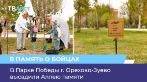 В Парке Победы г. Орехово-Зуево высадили Аллею памяти