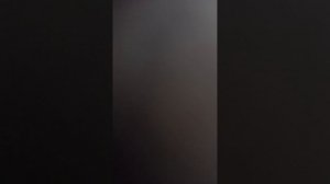 укушенные собственными собачками устраивают шабаши. своего ума нет, чужого не купишь