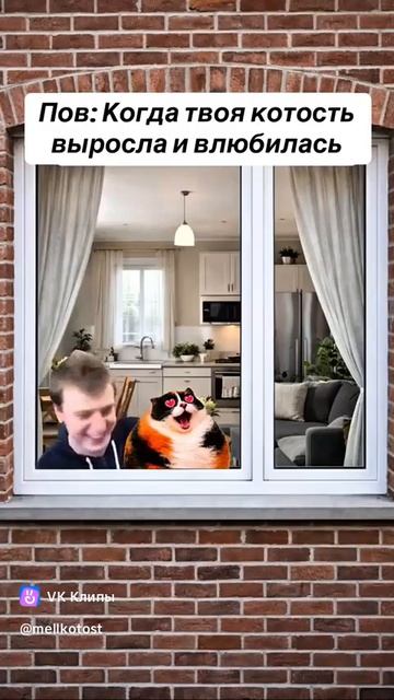 Когда твоя котость выросла и влюбилась