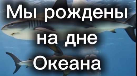 Мы Рождены на Дне Океана - БАЛКАНЫ -песня на стихи Михаила Харченко