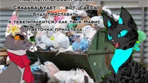 Что то «странное» и «бесмысленное». Шип с Звёздной Иссушкой