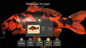 ЛЕГЕНДАРНЫЙ ФАРМ НА КОИ СНОВА НА МЕДНОМ, И ТРОФЕИ НА АХТУБЕ МОРЕ ОБЗОР ВОДОЕМОВ В РУССКОЙ РЫБАЛКЕ 4