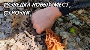 Разведка новых мест. Строчки.