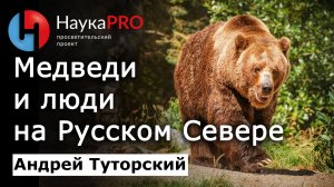 Медведи и люди на Русском Севере – Андрей Туторский | Этнография | Научпоп