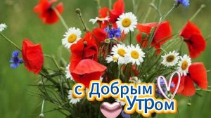 Открытки с добрым утром: красивые пожелания и музыка | Домохозяйка