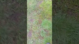 1000007907.mp4