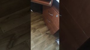 Мы с Есенией играем в прятки