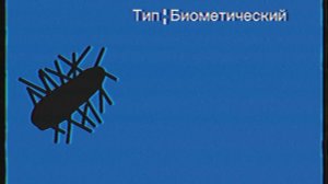Дикий огурец [МЧС Томского АО]
(ржака)