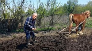 ДЕДУ МАТВЕЮ НЕ КОЗ НАДО А ЛОШАДЬ .