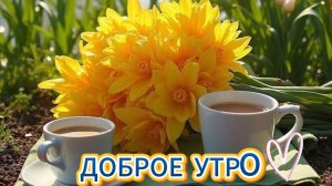 Доброе утро воскресенья: открытки и пожелания | Домохозяйка