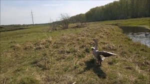 9 мая  солнечное утро...