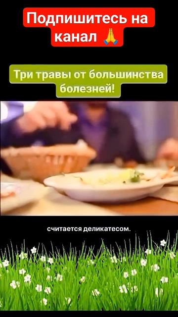 Три  травы  от  большинства  болезней → 👤 #Доктор_Авиценна